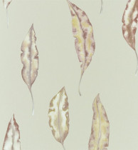 Обои Harlequin Anthozoa 111657